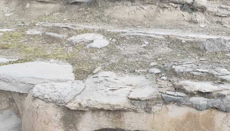 Imagen de "ACERCAMIENTO Y ANÁLISIS ARQUEOLÓGICO DEL ASENTAMIENTO DE LA EDAD DEL BRONCE DE CASTELLÓN ALTO (GALERA)"