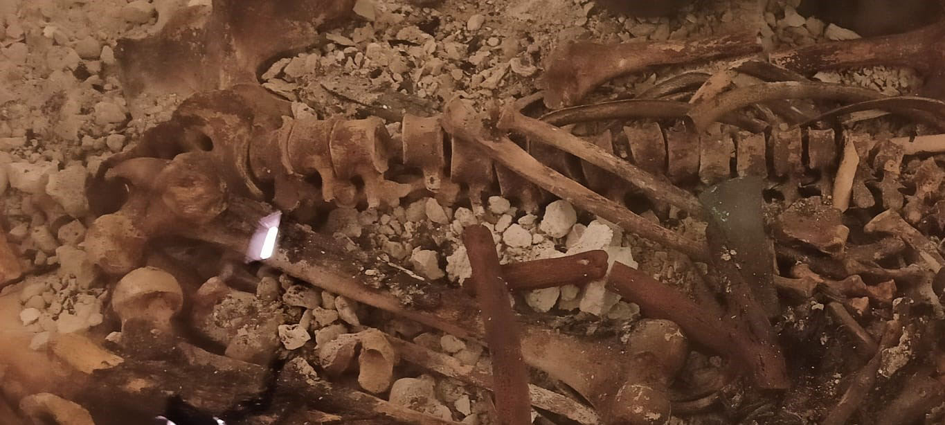 Imagen de "ACERCAMIENTO Y ANÁLISIS ARQUEOLÓGICO DEL ASENTAMIENTO DE LA EDAD DEL BRONCE DE CASTELLÓN ALTO (GALERA)"