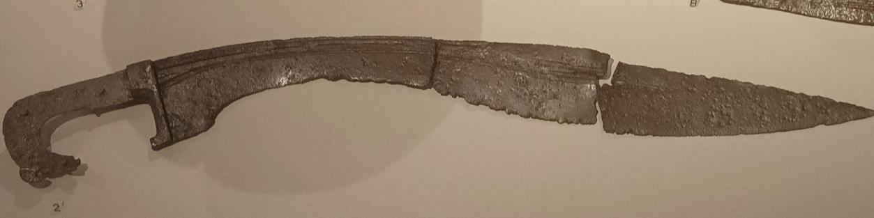 Imagen de "LA FALCATA IBÉRICA DE LA TUMBA DE LA FALCATA"
