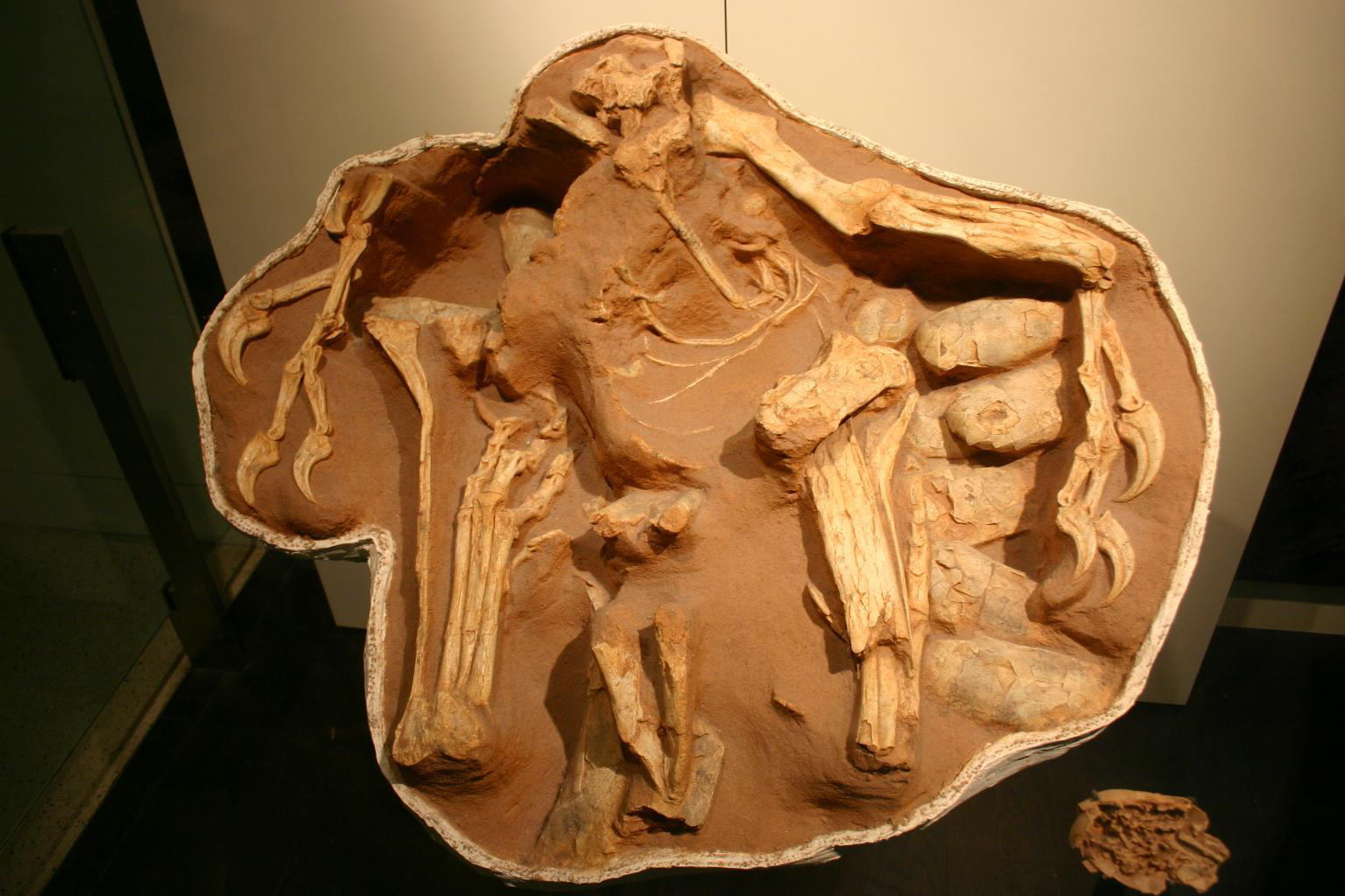 Imagen de "LA ARQUEOLOGÍA SÍ EXCAVA DINOSAURIOS"