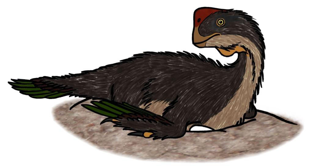 Imagen de "LA ARQUEOLOGÍA SÍ EXCAVA DINOSAURIOS"