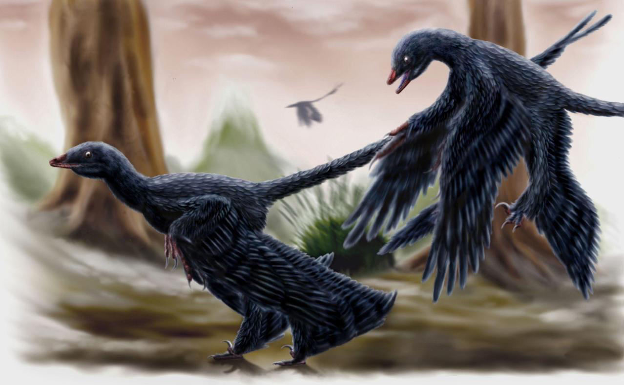 Imagen de "LA ARQUEOLOGÍA SÍ EXCAVA DINOSAURIOS"