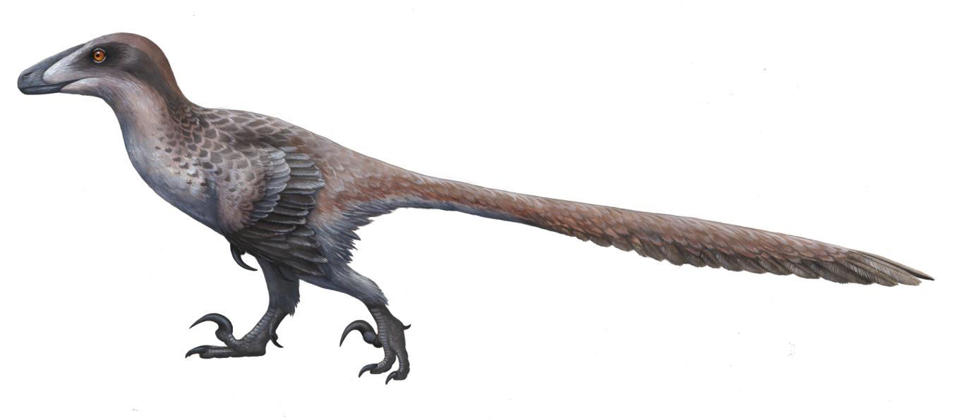 Imagen de "LA ARQUEOLOGÍA SÍ EXCAVA DINOSAURIOS"
