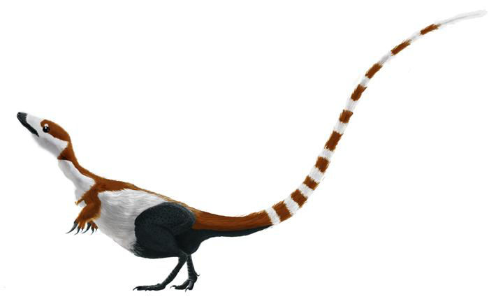 Imagen de "LA ARQUEOLOGÍA SÍ EXCAVA DINOSAURIOS"